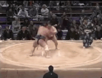 Wakatoba's Fighting Style