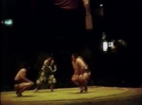 Araiwa's Fighting Style