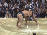 Tatsuhikari's Fighting Style