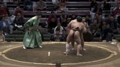 Tochimusashi's Fighting Style 2
