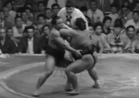 Wakachichibu's Fighting Style 2