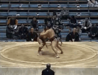 Kiozan's Fighting Style