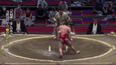 Kyokushuho's Fighting Style 2