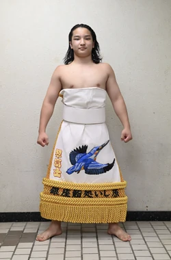 Sachinofuji Seiryu | Sumowrestling Wiki | Fandom