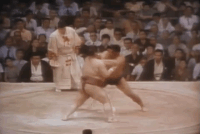 Daiju's Fighting Style