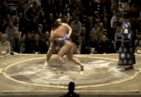 Sakaizawa's Fighting Style