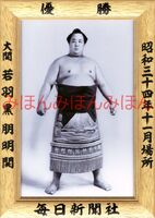 Wakahaguro poses for his Yusho portrait (c. 1959)