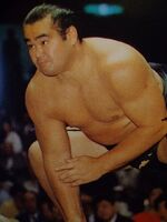 Nishinoryu (c. 1988)
