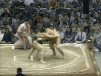 Mitoozumi's Fighting Style