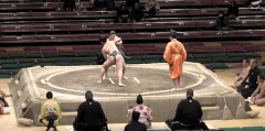 Shonanzakura's Fighting Style 1