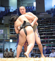 ShonanzakuraKato