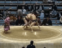 Suzaku's Fighting Style 1