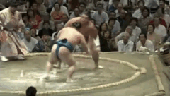 Sagatsukasa Fighting Style