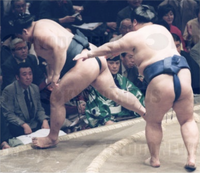Tamakasuga defeats Yokozuna Takanohana (c. 1999)