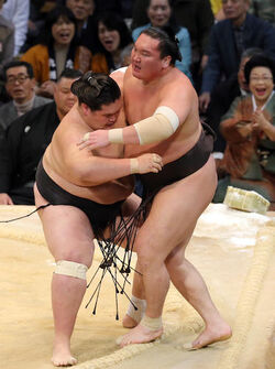 Terunofuji Powerlifting Training : r/Sumo