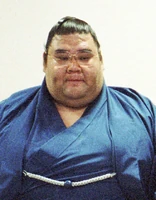 ToyonoumiIntai.jpg (164 KB) Toyonoumi announces his retirement (c. 1999)
