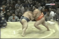 Wakanoyama's Fighting Style