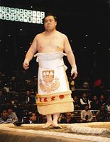 Tomonohana during the dohyo-iri (c. 2000)