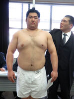 Kotoyusho gets measure upon joining sumo (c. 2016)