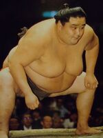 Umenosato in Makushita as a Juryo visitor (. 1993)