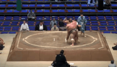 Isamizuki's Fighting Style