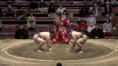 Tamakongo's Fighting Style 2