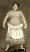 Tamanishiki Sanemon - (Retrieved from the Nihon Sumo Kyokai)