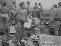 Nishinoryu's early career in sumo
