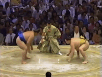 Daishoho's Fighting Style 2