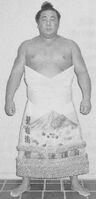 Hoshiiwato poses with his kesho-mawashi