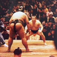 Kotoarashi faces Gokenzan (c. 1996)