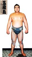 Tamaasuka Daisuke - 2004 (Retrieved from the JSA)