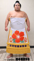 Kayo Yasutoki - 2024 (Retrieved from the JSA)