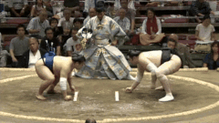 Keitenkai's Fighting Style 2