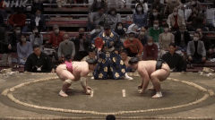 Daieisho's Fighting Style 2