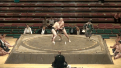 Minanosato's Fighting Style