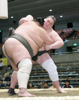 Sakaefuji battles future Yokozuna Terunofuji (c. 2019)