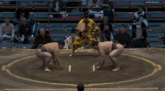 Tochiseiryu's Fighting Style 2
