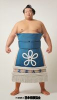 Homarefuji Yoshiyuki - 2013 (Retrieved from the JSA)