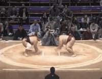 Tochisakae's Fighting Style