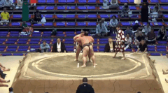 Denzan's Fighting Style