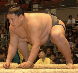 Matsumidori-main