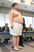 Mitoryu gets measured upon joining professional sumo (c. 2017)