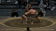 Raiho's Fighting Style