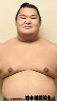 Rikishin Tatsuki - 2017 (Retrieved from the Nihon Sumo Kyokai)