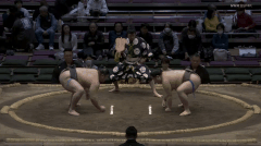 Ryusei's Fighting Style 2