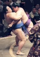 Tochinohana defeats Ozeki Chiyotaikai (c. 2000)