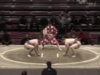 Meanoyu's FIghting Style