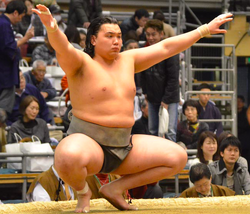 Asahiryu Katsuhiro, Sumowrestling Wiki