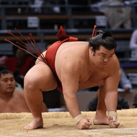 Higonojo prepares for his upcoming match (c. 2014)